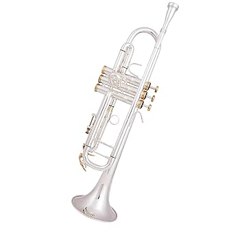 トランペット（ゴールド・シルバー）　キラメッキ楽器#13 トランペット（ゴールド・シルバー） キラメッキ楽器#13 楽天